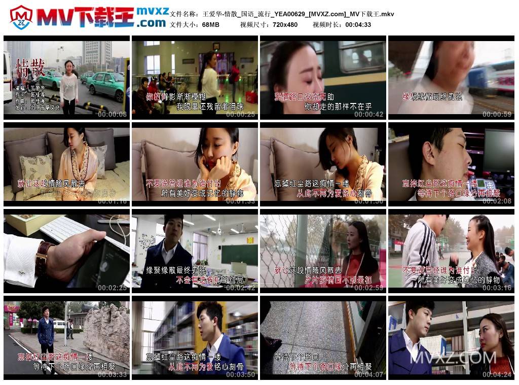 王爱华-情散_国语_流行_YEA00629
